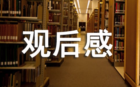 2022警示教育专题片《零容忍》观后感