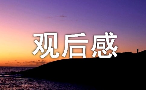 长津湖之水门桥观后感500字范文汇集