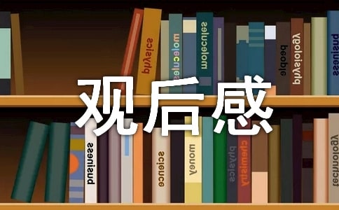 2022电视剧《人世间》观后感范文锦集