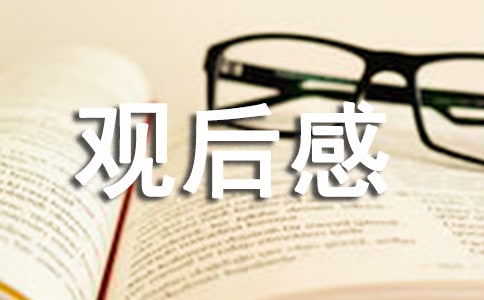 2022年3·15晚会“公平守正安心消费”观后感精选