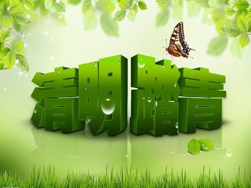 小学生清明扫墓活动作文材料整理