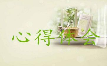 暑假社会实践心得体会
