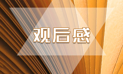 纪录片《辉煌中国》观后感简单范文