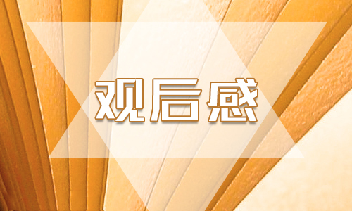 2022央视电视剧《幸福到万家》观后感简洁