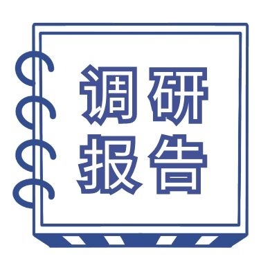 村级财务管理调研报告