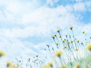 简短版全国高血压日活动总结范文