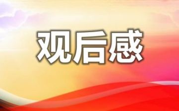 2022《领航》观后感简洁范文合集