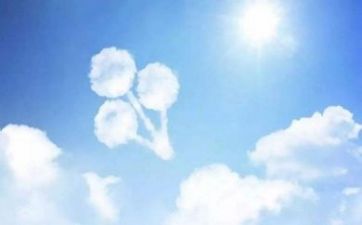 基层单位开展选人用人专项整治自查报告