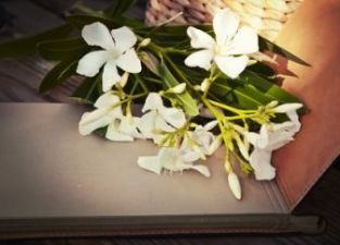 关于常态化开展政治生态分析研判工作的实施办法（范本）