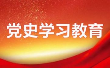 省政府办公厅党史学习教育工作总结