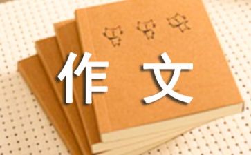 传统节日端午节优秀作文