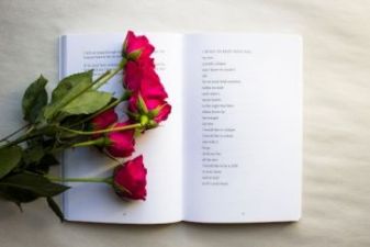 小学教师教学述职报告精彩范文