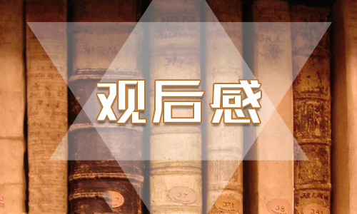 因为有爱师德师风主题思政课观后感范文最新